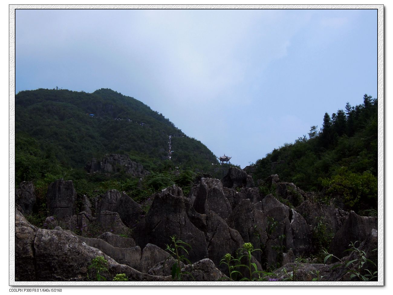 neo_img_2012.08.12ʩ֮_Ͽ (33).jpg