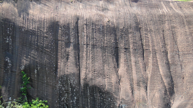 dsc01446_.jpg