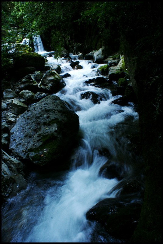conew_dsc00446_conew1.jpg