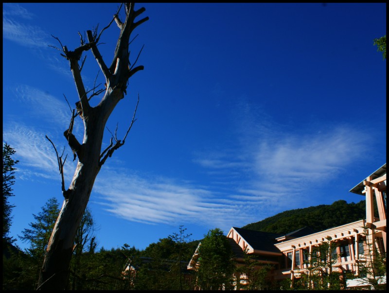 conew_dsc00983_conew1.jpg