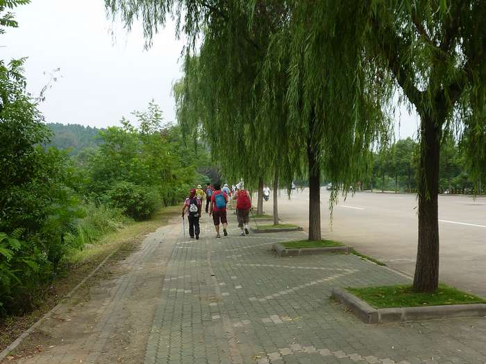 p1230494.jpg