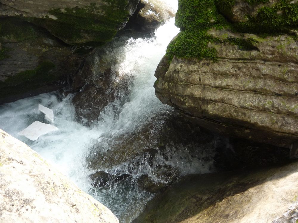 p1120259.jpg