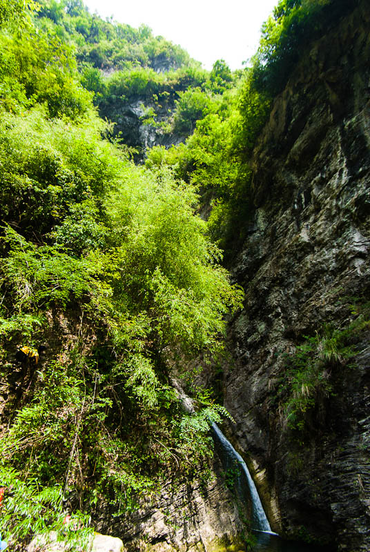 20120818-_Ϫ-IMGP0362.jpg