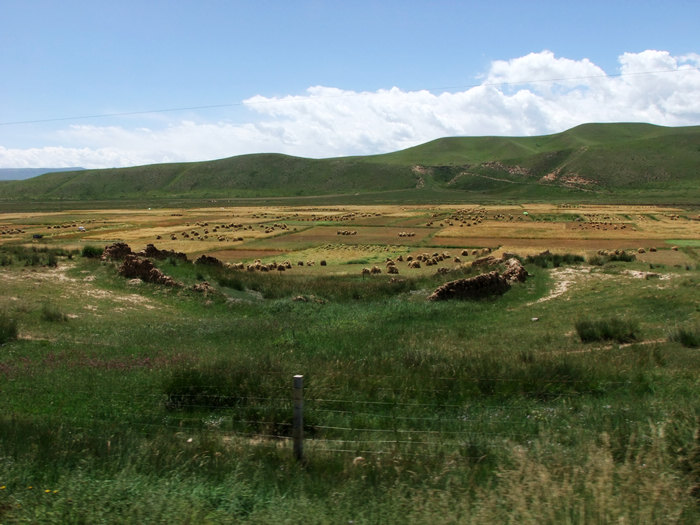 DSCF4343.JPG