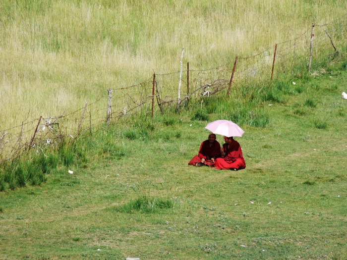 DSCF4369.JPG
