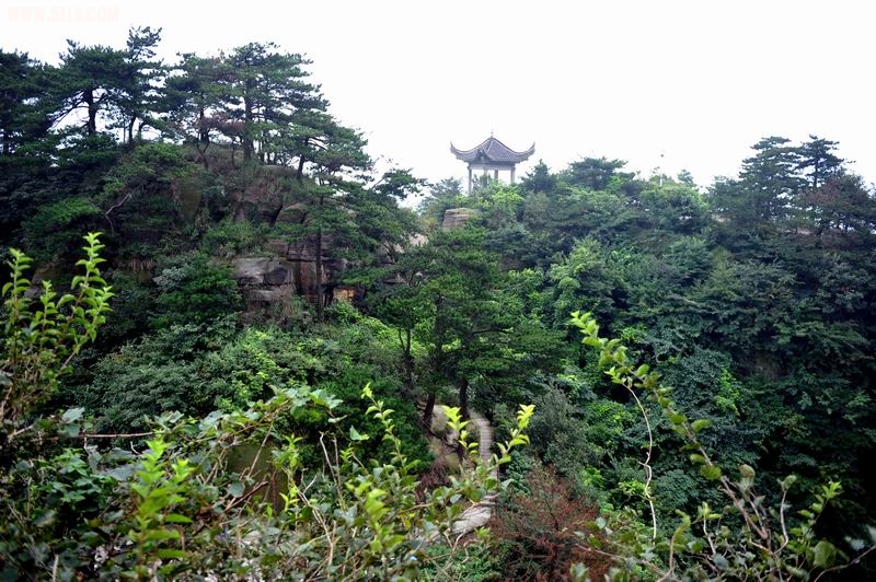 С 羰04.jpg