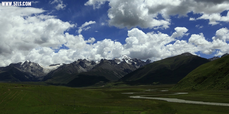 _MG_4347.jpg