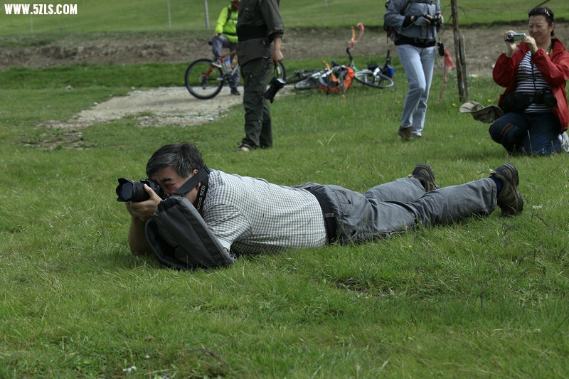 05.jpg
