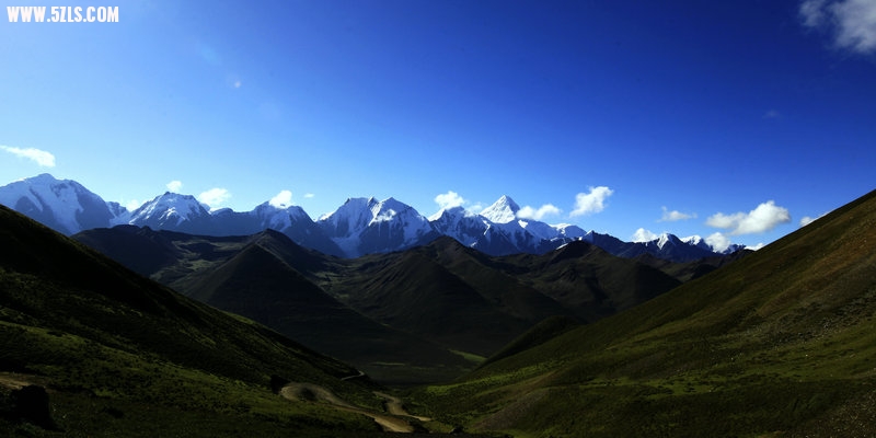 _MG_5304.jpg