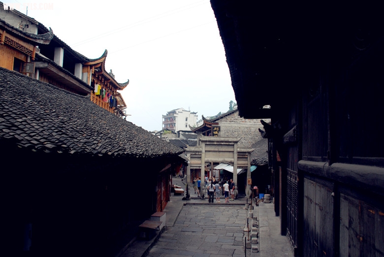 DSC_0041_.jpg