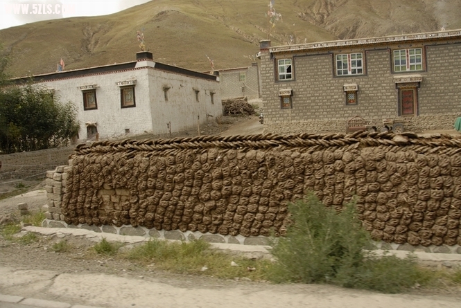 _W010071.JPG