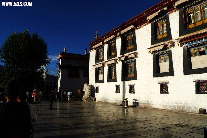 P1130396.jpg