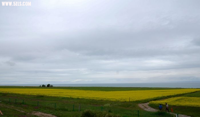 nEO_IMG_DSC00715.jpg