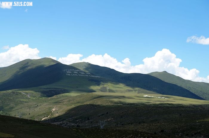 nEO_IMG_DSC05333.jpg