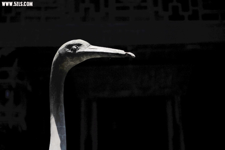 ʩ 526.jpg