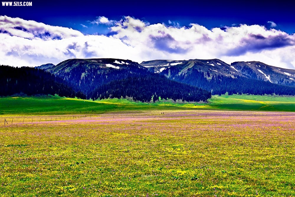 20120526-IMG_7961-༭.jpg