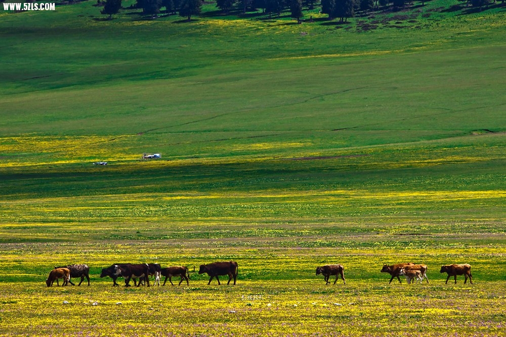 20120526-IMG_7975-༭.jpg