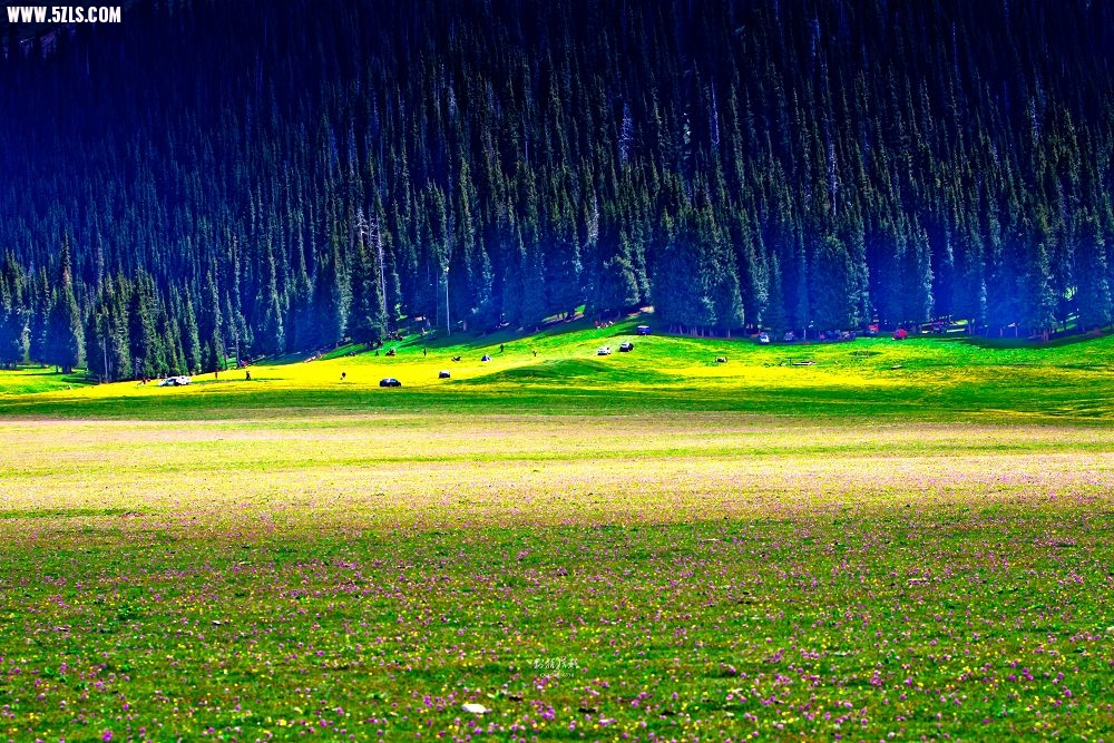20120526-IMG_7996-༭.jpg