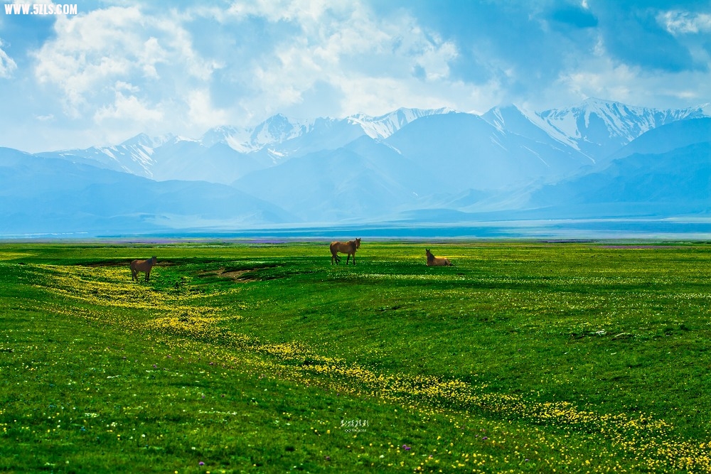 20120526-IMG_8077-༭-2.jpg