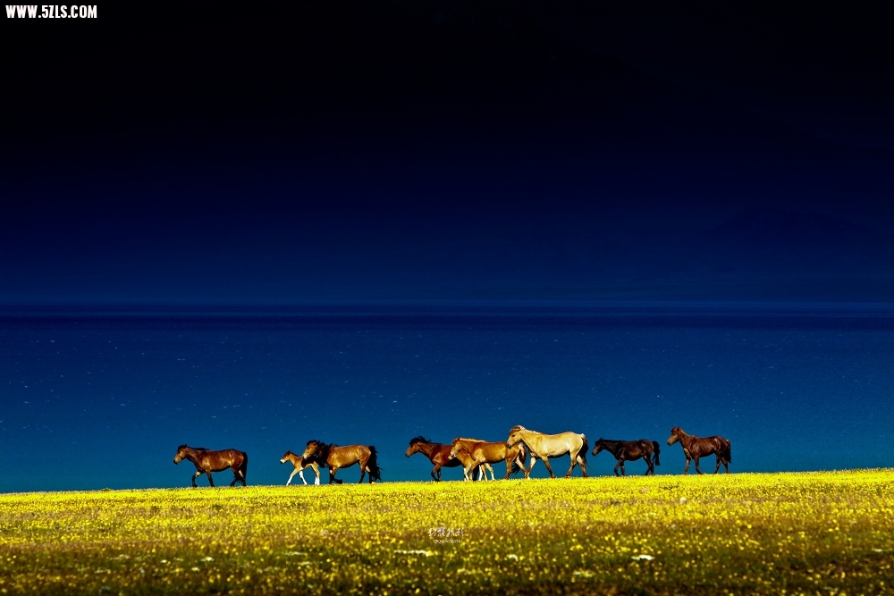 20120526-IMG_8175-༭-2.jpg