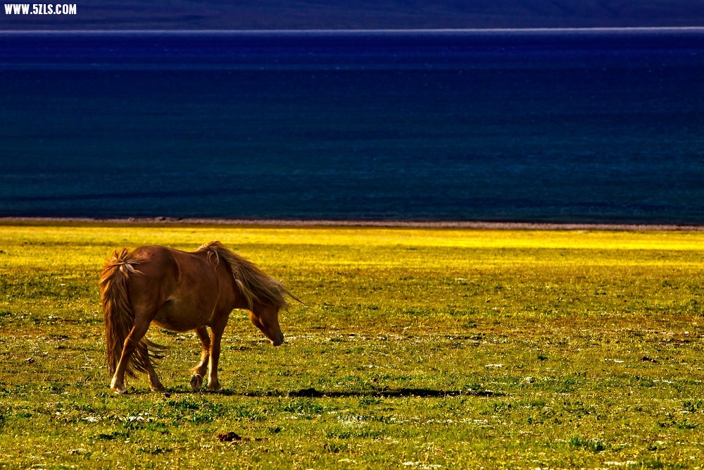 20120526-IMG_8240-༭.jpg