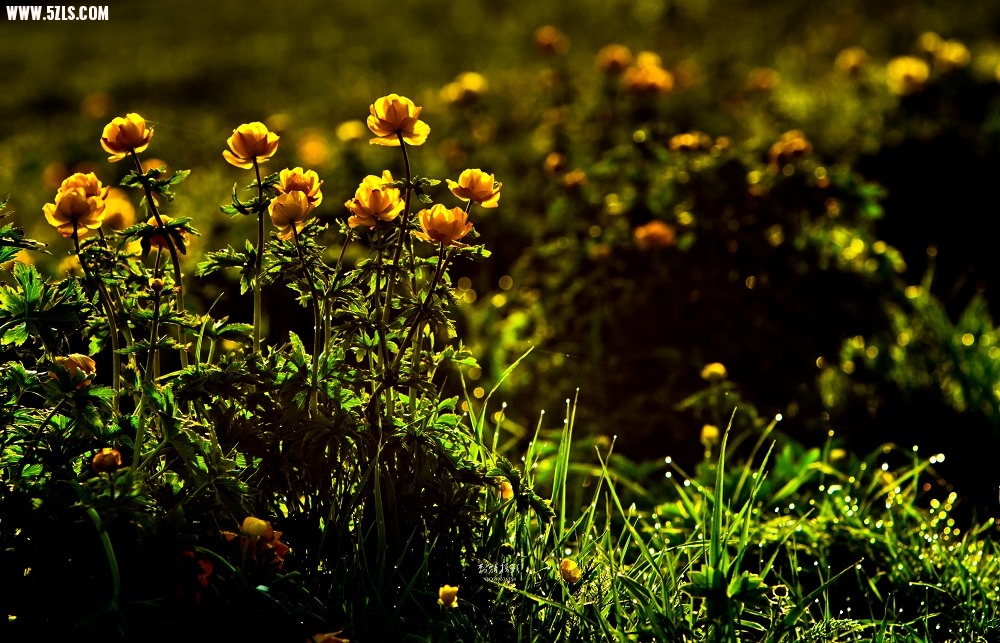 20120527-IMG_8336-༭.jpg