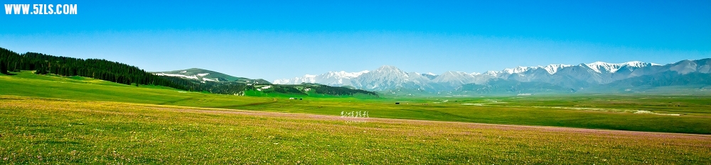 20120527-IMG_8405-༭.jpg