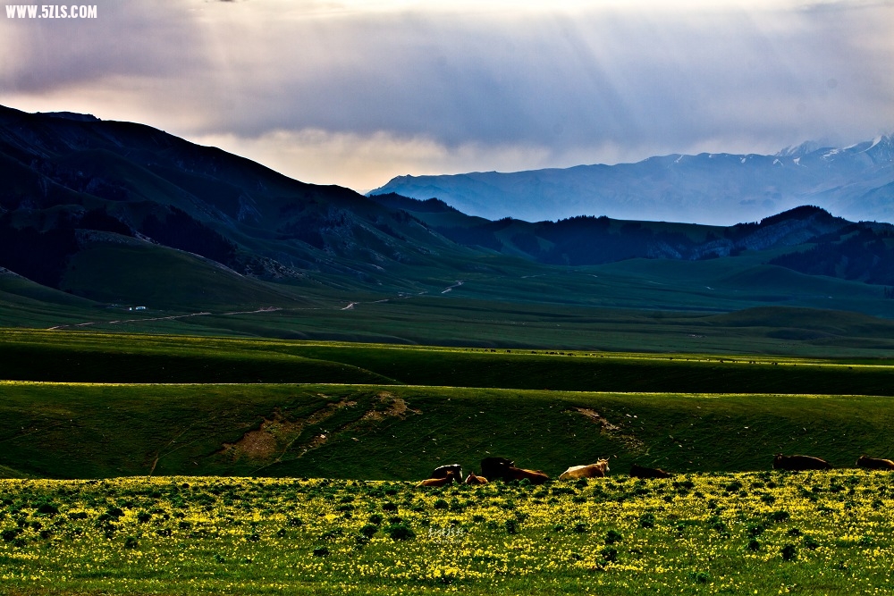 20120529-IMG_8814-༭.jpg