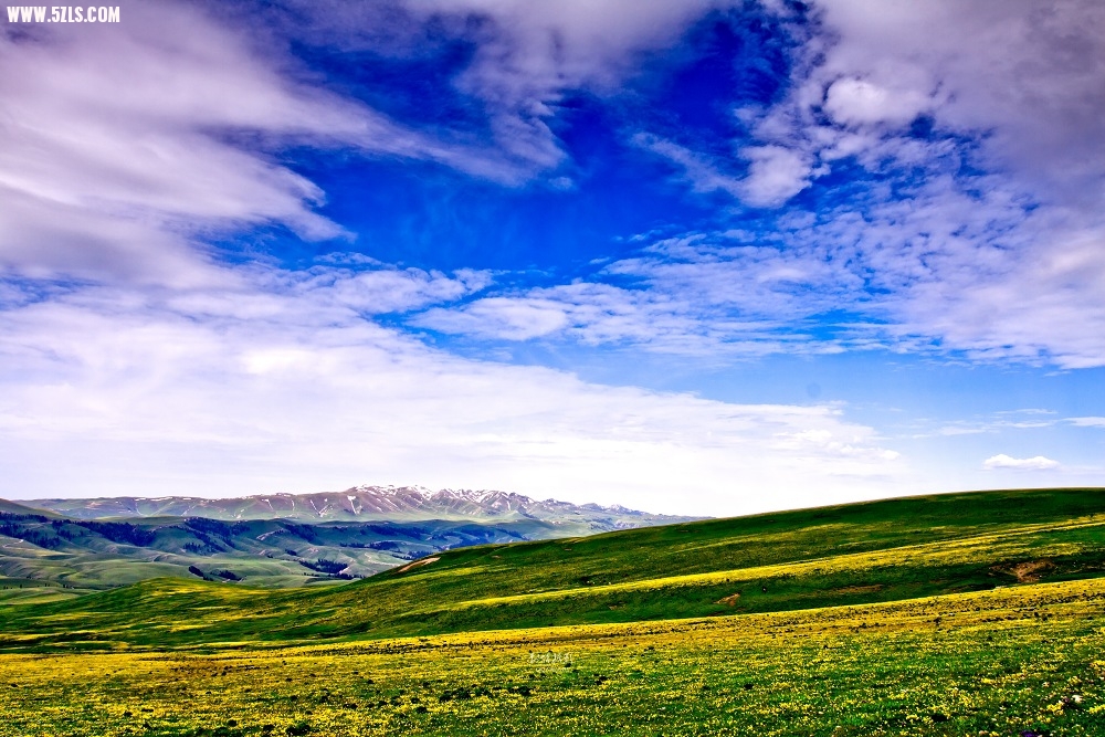 20120529-IMG_8840-༭.jpg