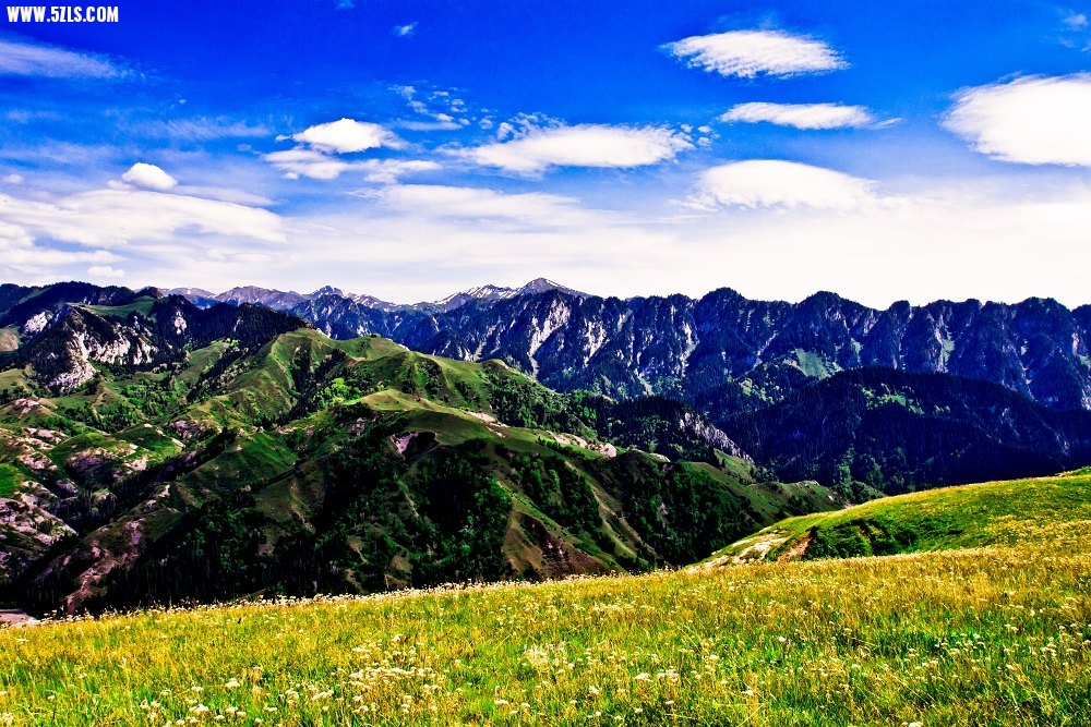 20120529-IMG_8952-༭.jpg