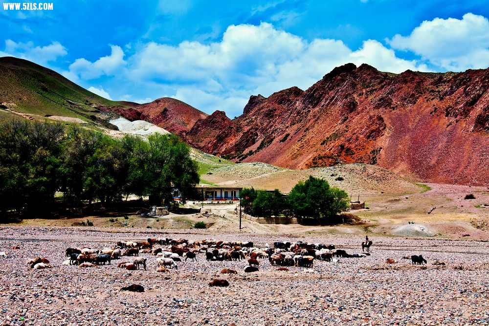 20120530-IMG_8980-༭.jpg