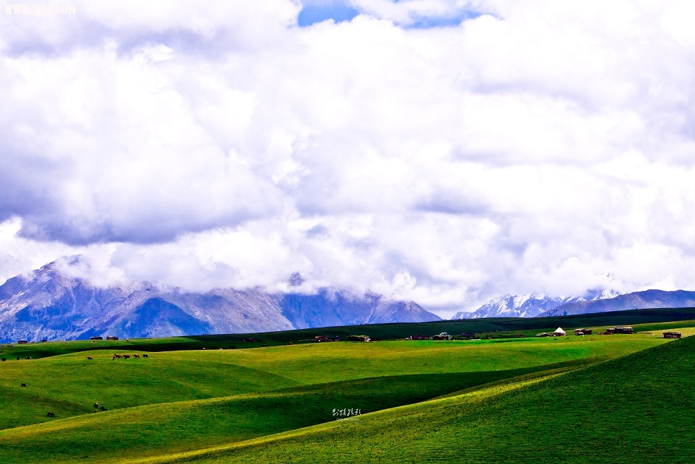 20120531-IMG_9332-༭.jpg