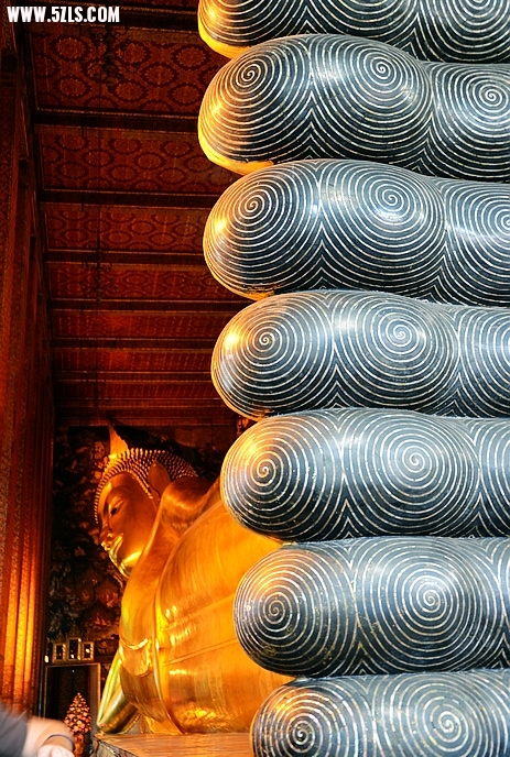 DSC_0012.jpg