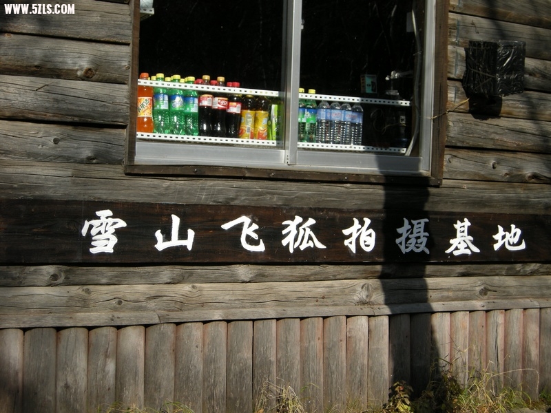 ɶ-2001.jpg