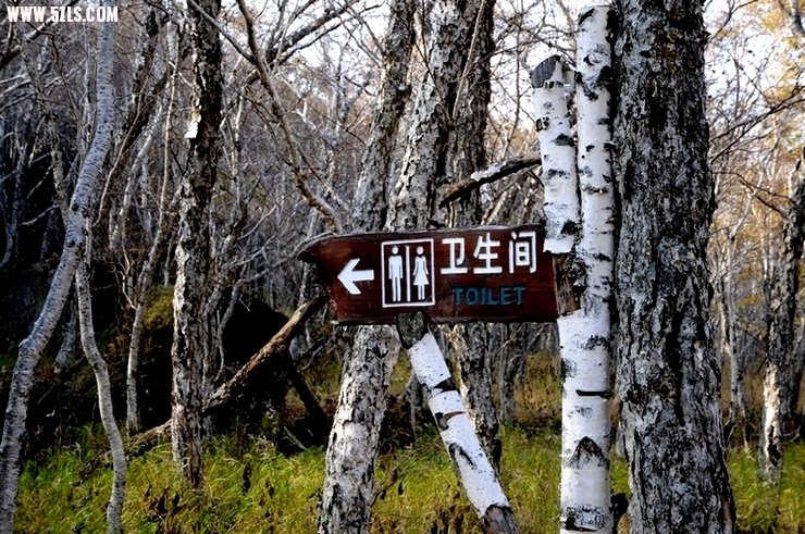 ɶ-2003.jpg