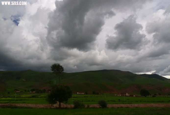 1P1150079.jpg
