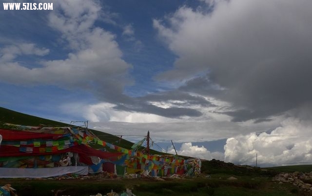 1P1150086.jpg