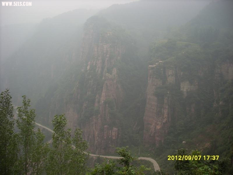 SL389141.JPG