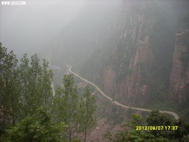 SL389142.JPG
