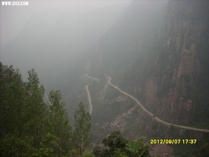 SL389143.JPG