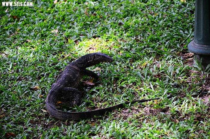DSC_0406.jpg