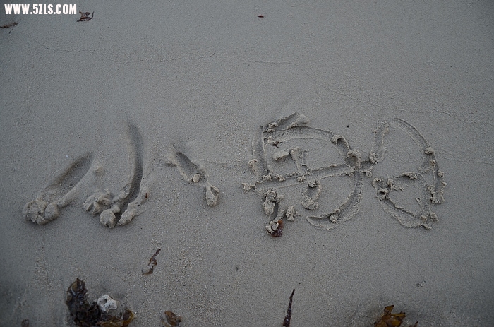 DSC_0478.jpg