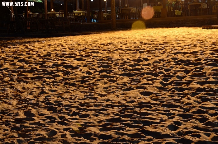 DSC_0513.jpg