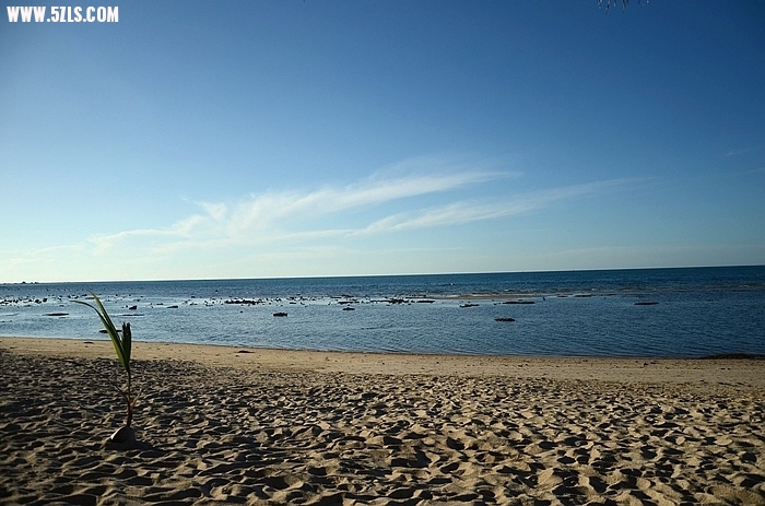 DSC_0527.jpg