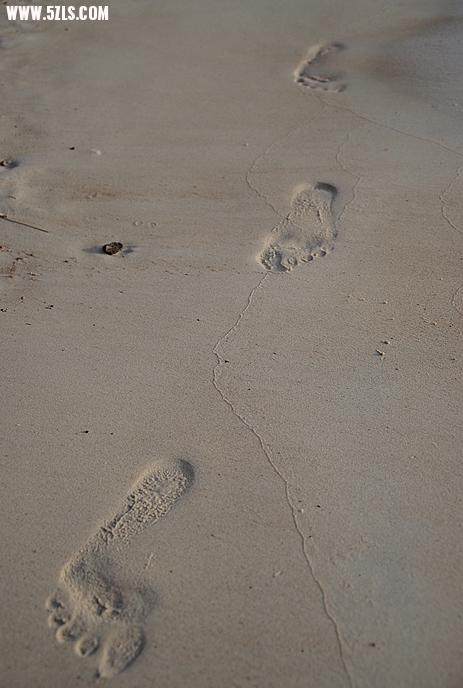 DSC_0774.jpg