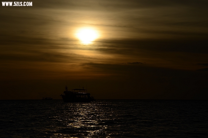 DSC_0782.jpg