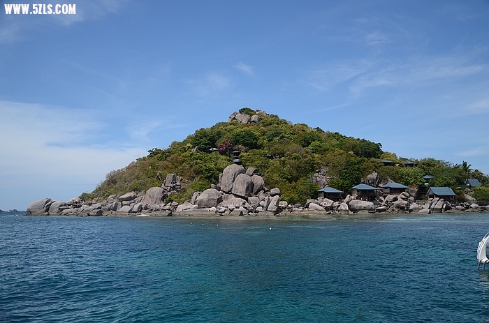 DSC_0896.jpg