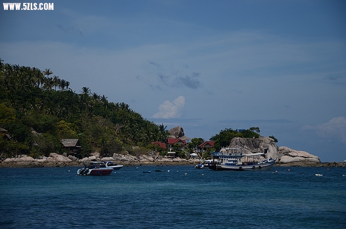DSC_0864.jpg
