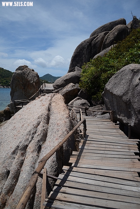 DSC_0919.jpg