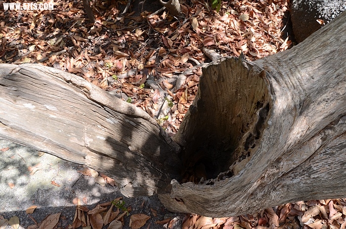 DSC_0933.jpg